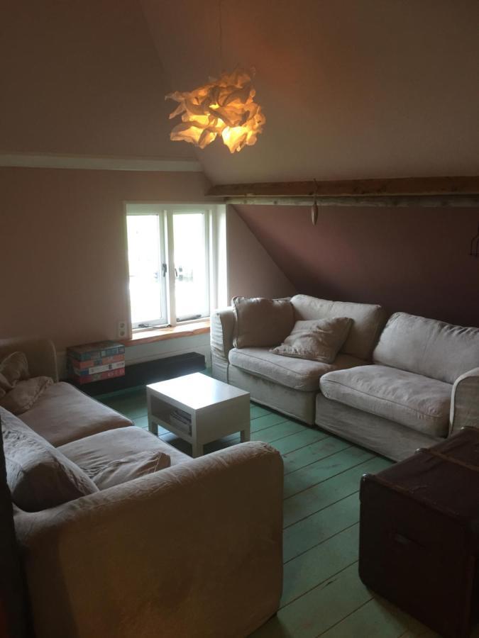 De Distelweide Bed and Breakfast Holsloot Εξωτερικό φωτογραφία