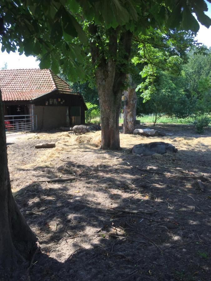 De Distelweide Bed and Breakfast Holsloot Εξωτερικό φωτογραφία